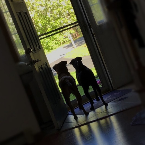 Meet your Posher, Ethan - Picture 1 of 1